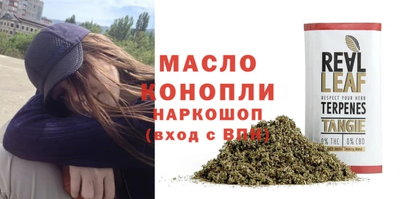 гашик Михайловск