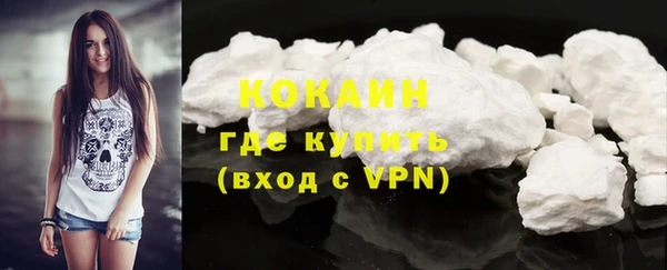 гашик Михайловск