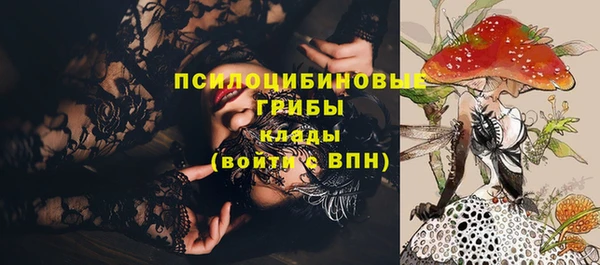 гашик Михайловск