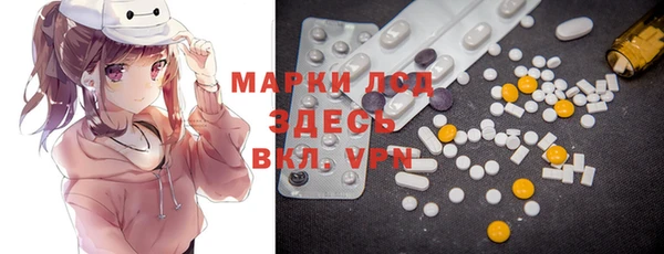 гашик Михайловск